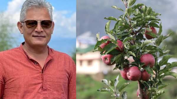 दुर्गम हिमाचल में करोड़ों कमा रहे बागवान विक्रम रावत, वीराने में हरियाली और मिठास घोलने का पुरुषार्थ