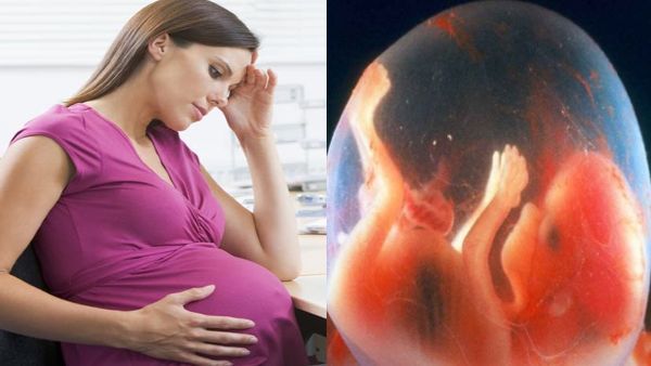 मां के पेट में भी शिशु सुरक्षित नहीं! अजन्मे बच्चे के दिमाग में 'जहरीला पदार्थ', साइंटिस्ट्स ने दी चेतावनी