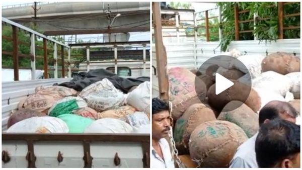 MP News : क्राइम ब्रांच ने भोपाल बैरसिया रोड से लगभग 60 से 70 क्विंटल नकली मावा किया जब्त,खाद्य विभाग मौके पर