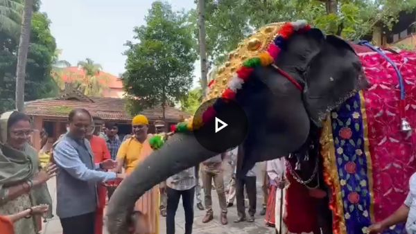 shivraj singh chauhan : हथिनी लक्ष्मी को देखकर खुश हुए CM शिवराज और साधना सिंह चौहान, हाथों से खिलाए फल