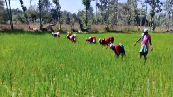 Women Farmers Natural Farming की दिशा में कर रहीं क्रांति, 60 लाख महिलाएं महिलाएं जुड़ेंगी !