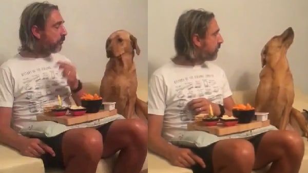 डिनर के टाइम कुत्ता ने मालिक के साथ की ऐसी हरकत, नहीं रुक रही लोगों की हंसी, Viral हो रहा क्यूट VIDEO