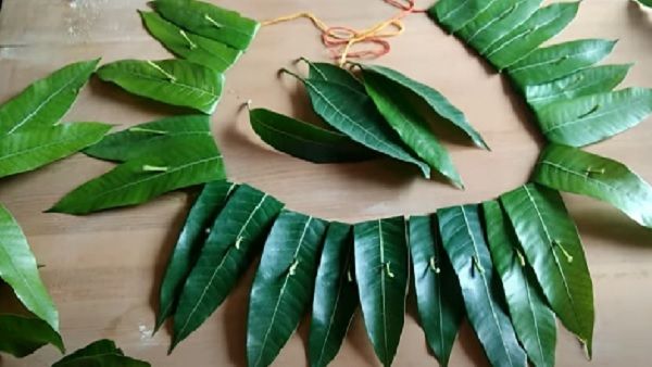   Vandanwar: वंदनवार क्या होती है? क्या है इसका लाभ?