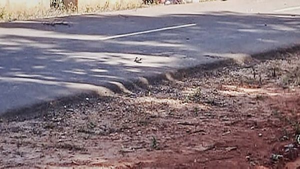 असम-मेघालय सीमा विवाद: वेस्ट जयंतिया हिल्स पर फायरिंग, 6 लोगों की मौत, कई गंभीर रूप से घायल