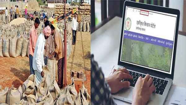 Dhan Kharidi 2022: सॉफ्टवेयर में गड़बड़ी से किसानों का रकबा शून्य, प्रदेश के 37 हजार किसानों को होगा नुकसान