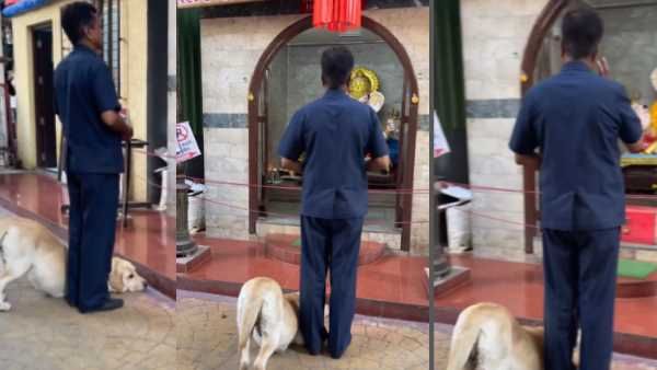 श्रद्धा से भगवान गणेश की मूर्ति के आगे कुछ यूं झुका कुत्ता, Video ने जीता लोगों का दिल