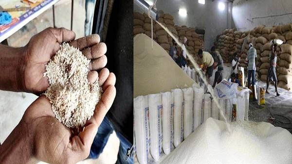 MP News: जानवरों के खाने योग्य चावल घोटाले में 6 अधिकारी कर्मचारी बर्खास्त, कोरोनाकाल में उजागर हुआ था मामला