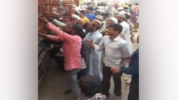 शामली में पूर्व चेयरमैन ने निकाय चुनाव से पूर्व बटवाए ट्रक भरकर मुर्गे, वीडियो सोशल मीडिया पर हुई वायरल