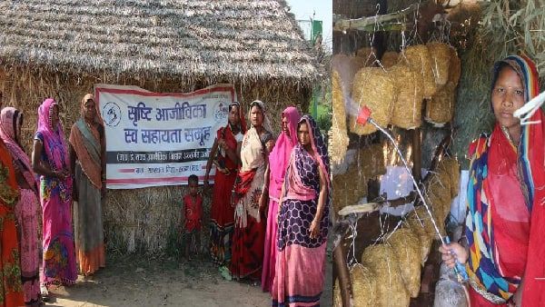 Satna news मशरूम बदल रहा अनुसूचित जनजाति महिलाओं की जिंदगी, कमाई के साथ बन रहीं आत्मनिर्भर