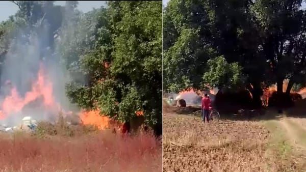 Sidhi news : आग में ख़ाक हो गई धान की पूरी फसल, फूट-फूट कर रो पड़े किसान परिवार