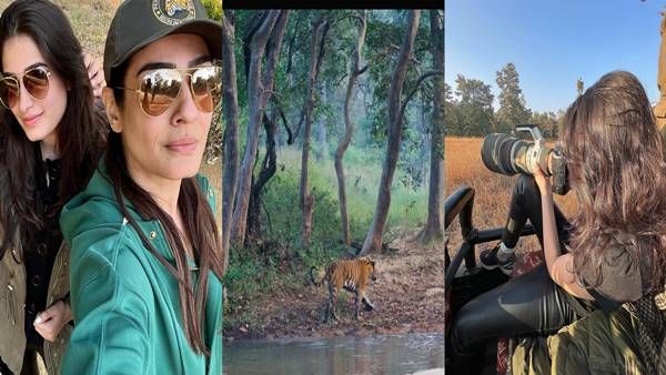 MP में बॉलीवुड एक्ट्रेस रवीना टंडन बाघ के फोटो शूट विवाद में उलझी, सतपुड़ा टाइगर रिजर्व करेगा जांच