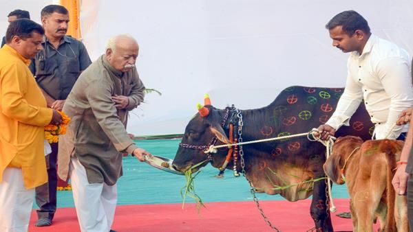 Jabalpur News: संघ में जाति नहीं पूछी जाती, समाज के लिए हम उदहारण बने, बोले RSS चीफ मोहन भागवत