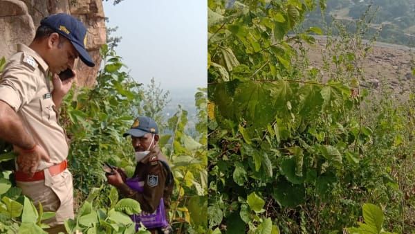 Sidhi News : पहाड़ पर बिखरा पड़ा नर कंकाल, पास में मिला श्रृंगार का सामान, सस्पेंस भरी यह स्टोरी