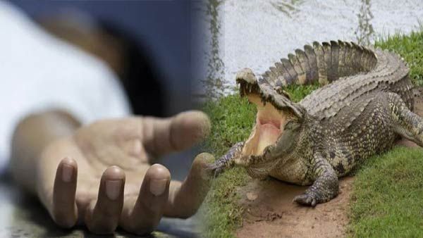 Sonbhadra: लोग देखते रहे और किसान को तालाब में खींच ले गया मगरमच्‍छ, मौत के बाद परिवार में कोहराम