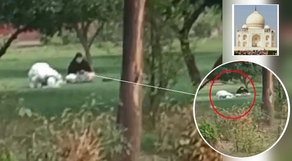 Taj Mahal के बगीचे में महिला-पुरुष की नमाज का वीडियो वायरल, अधिकारी दे रहे सफाई