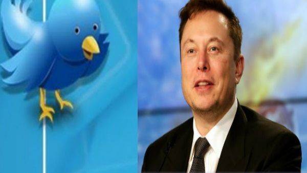 Elon Musk ने ट्विटर CEO बनते ही कर्मचारियों की यूं बना दी 'गत', वर्क प्रेशर में ऑफिस की फर्श पर सोती दिखी बॉस