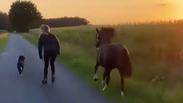 पालतू कुत्ते और घोड़े के साथ महिला ने की स्‍केटिंग, ये वायरल Video जीत लेगा आपका दिल