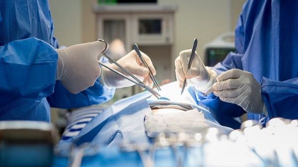 OMG!शव का पोस्टमार्टम कर रही थी महिला, तभी उसके अंदर से निकल आया जहरीला सांप