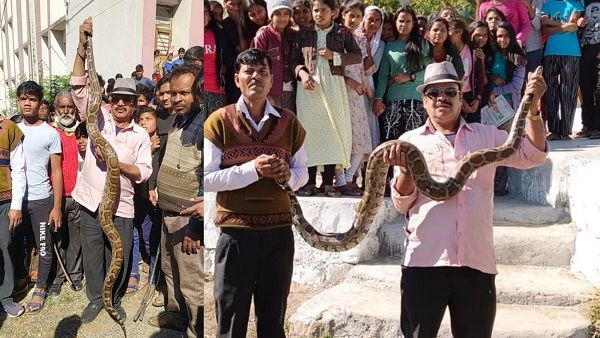 हॉस्टल में खतरनाक अजगर देख बच्चों की हलक में फंसी जान, चीखकर बचाई जान