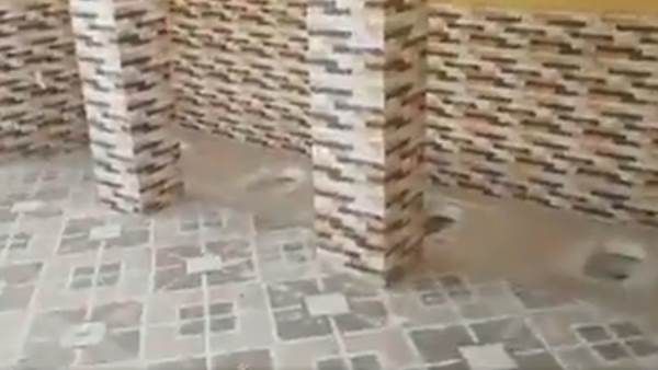 Basti: बिना पार्टीशन एक ही शौचालय में लगा दीं चार टॉयलेट सीट, शौचालय देखकर घूमा लोगों का माथा