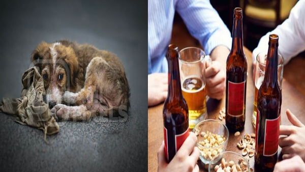 Shocking : शराब के नशे में कुत्ते के शरीर का ये अंग नोंचकर खा गए युवक, पूछं भी बनी चखना