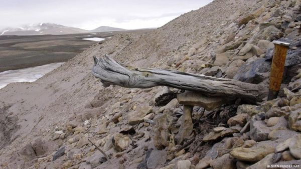 20 लाख साल पुराना डीएनए मिला