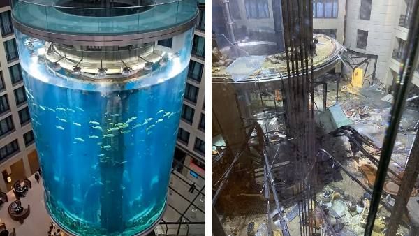 VIDEO: दुनिया का सबसे बड़ा 'फ्री स्टैंडिंग एक्वेरियम' टूटा, 1500 मछलियों का घर तबाह