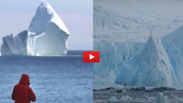 विशालकाय Glacier ने मचाई तबाही, 78,000 वर्ग मीटर बर्फ खत्म, दिखा सुनामी का मंजर