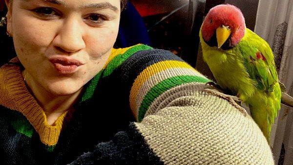 Ankita Sharma : छत्तीसगढ़ की पहली महिला IPS ने देसी तोते को फोटो खिंचवाने के लिए यूं किया राजी