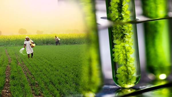 Green Fuel: हरित ईंधन क्या होता है, किसानों और पर्यावरण के लिए कैसे है यह लाभदायक