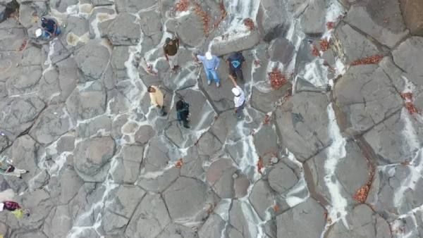 भारत का 'जुरासिक पार्क', डायनासोर के अंडों की पूजा और तस्करी- ग्राउंड रिपोर्ट