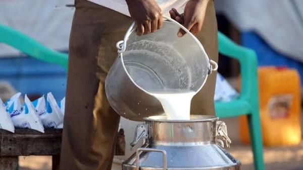 Milk Price Rise: दूध के दामों ने बिगाड़ा बजट, जानिये कीमतों के बढ़ने के कारण
