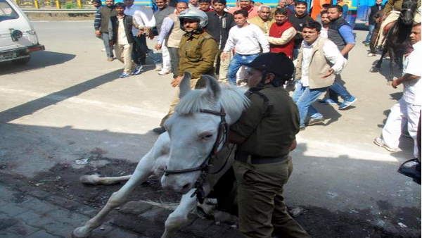 Uttarakhand: बहुचर्चित ​शक्तिमान प्रकरण एक बार फिर चर्चा में, कैबिनेट मंत्री गणेश जोशी पर है आरोप