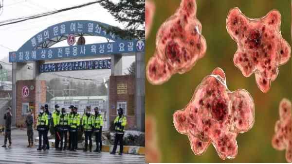 कोरोना के बीच दक्षिण कोरिया में Brain-Eating Amoeba से पहली मौत, जानें क्या है यह घातक रोग ?