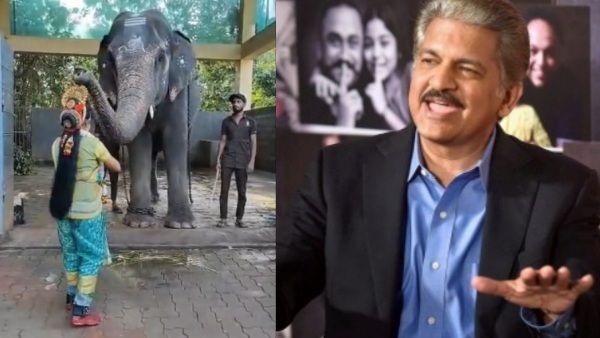 Anand Mahindra New Year 2023 से पहले गजराज के 'आशीर्वाद' से अभिभूत, VIDEO ट्वीट कर कही ये बात
