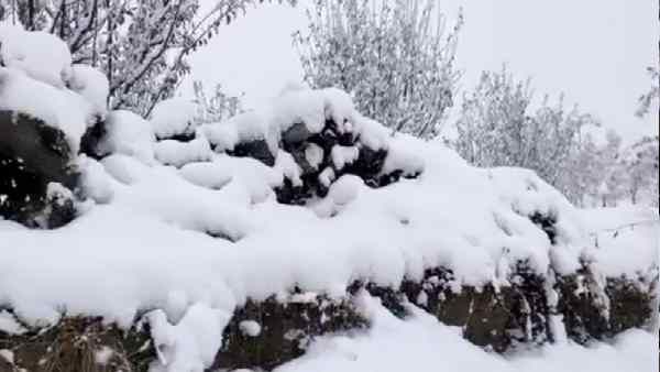 हिमाचल प्रदेश के लाहौल-स्पीति में मौसम की पहली बर्फबारी, IMD ने कश्मीर के बारे में ये बताया
