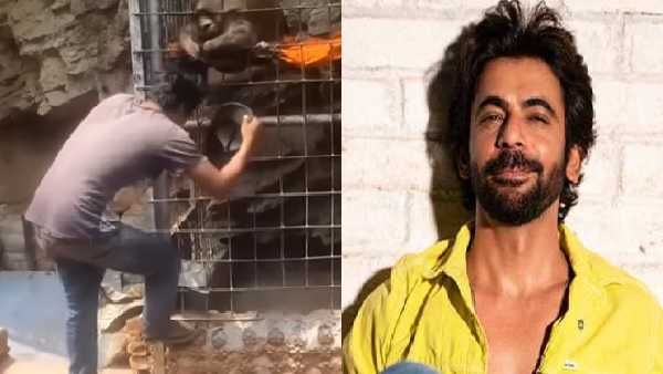 'मेरा दिल ये पुकारे आजा' गाने पर सुनील ग्रोवर का वीडियो देख नहीं रोक पाएंगे अपनी हंसी, बंदर ने कर दी ऐसी हालत