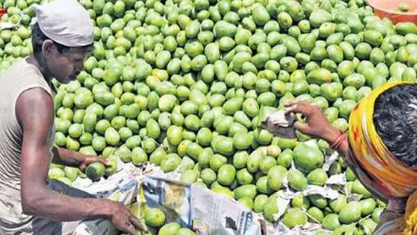 तेलंगाना में बढ़ा फलों का उत्पाद, 7.34 लाख मीट्रिक टन से 24.78 लाख मीट्रिक टन तक पहुंचा