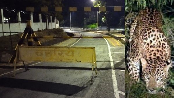 Sagar: तेंदुए की दहशत से सेंट्रल यूनिवर्सिटी का घाट रोड बंद, बैरिकेट्स लगाए, नोटिस भी चिपकाए