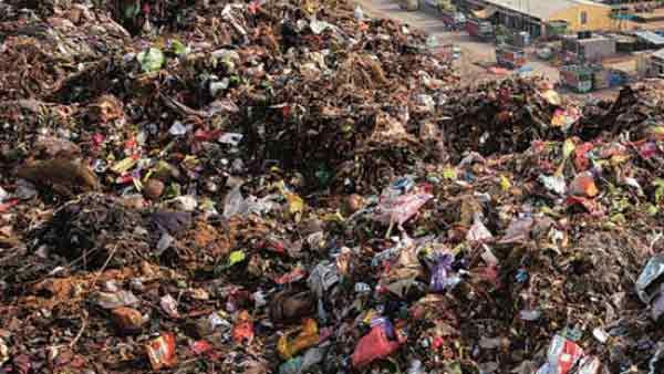 काशी में किचन के कूड़े से खाद बनाकर कमाई करेगा नगर निगम, गोवा की तर्ज पर कूड़ा प्रबंधन