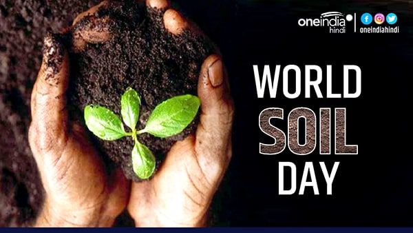 Soil Day: सिर्फ हवा-पानी ही नहीं, मिट्टी के बिना भी जीवन की कल्पना नामुकिन, क्यों जरूरी है मिट्टी बचाओ आंदोलन
