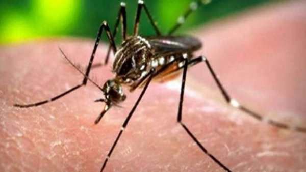 Zika Virus: कर्नाटक में सामने आया जीका वायरस का पहला केस, 5 साल की बच्ची मिली पॉजिटिव