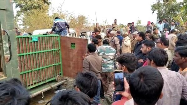 Leopard Rescue : सुअर के फंदे में फंसा तेंदुआ बेहोश ही नहीं हो रहा था, चार इंजेक्शन लगाने पड़े