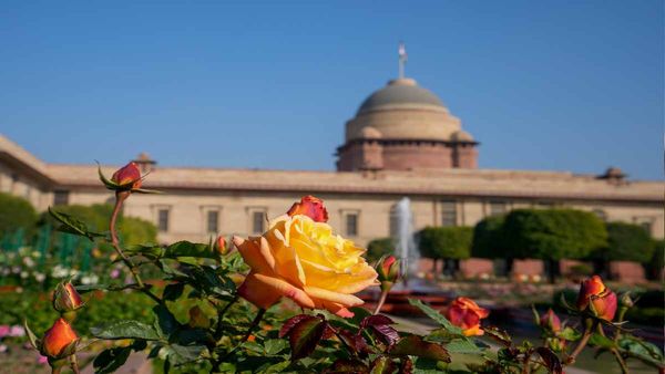 मुगल गार्डन से अमृत उद्यान तक, राष्ट्रपति भवन की बागवानी कितनी बदली है ? जानिए