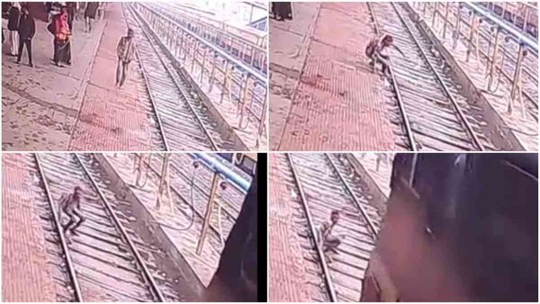 मौत का लाइव वीडियो: आंखों पर पट्टी बांधकर आया और ट्रेन के सामने लेट गया