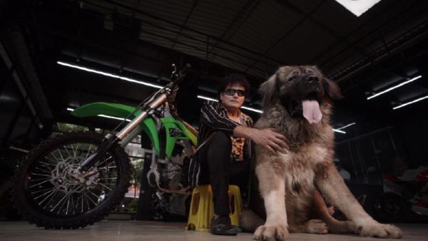 Caucasian Shepherd भारत का सबसे महंगा Dog, कीमत 20 करोड़, शख्स ने क्यों किया इतना खर्च