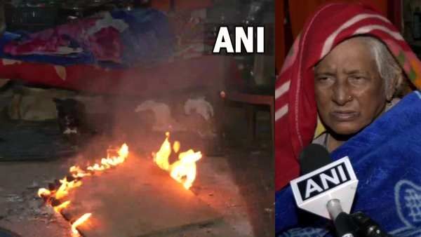 Delhi Cold Wave : 250 कुत्तों के साथ 80 साल की महिला का घर उजाड़ा, MCD पर अमानवीय कार्रवाई के आरोप