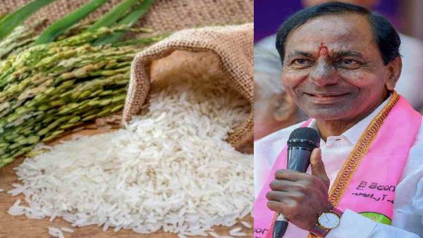 Vanakalam सीजन में धान खरीद के मामले में तेलंगाना में बना नया रिकॉर्ड