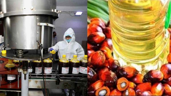 Edible Oil पर आत्मनिर्भर कैसे बनेगा भारत ? तिलहन उत्पादन बढ़ाने के उपाय जानिए