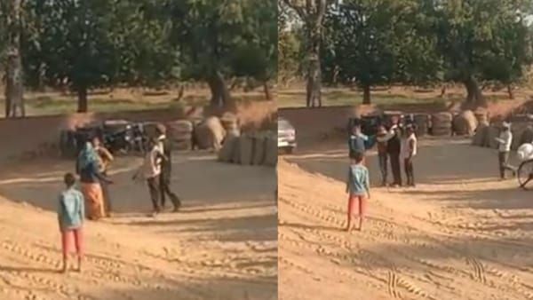 Singrauli News Video : महिला का हाई वोल्टेज ड्रामा, समिति प्रबंधक को चप्पलों से जमकर पीटा